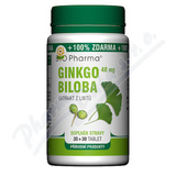Ginkgo Biloba extrakt 40mg tbl. 30+30 BIO-Pharma
